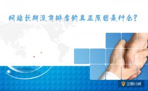 北京網(wǎng)站優(yōu)化：網(wǎng)站長(zhǎng)期沒(méi)有排名的真正原因是什么？